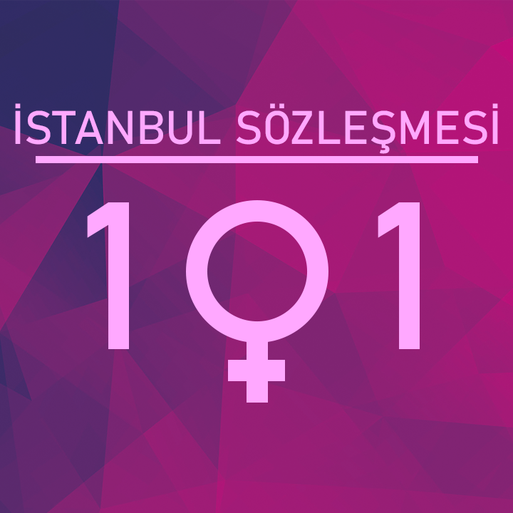 İstanbul Sözleşmesi 101