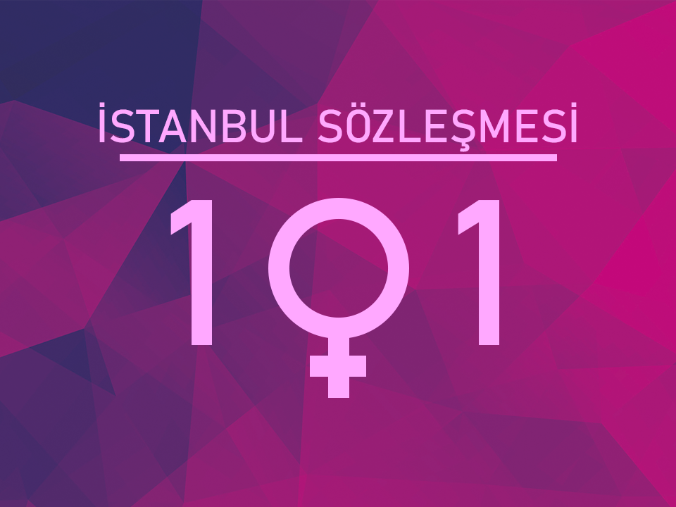 İstanbul Sözleşmesi 101